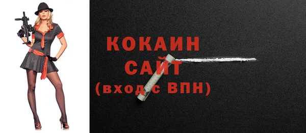 твердый Михайловск