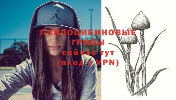 таблы Медвежьегорск