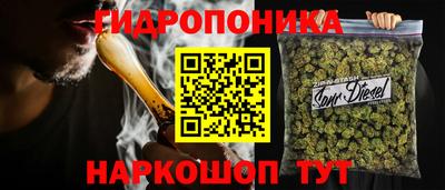 стаф Аргун