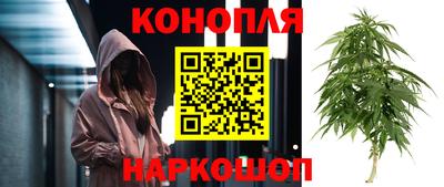 круглые Бийск