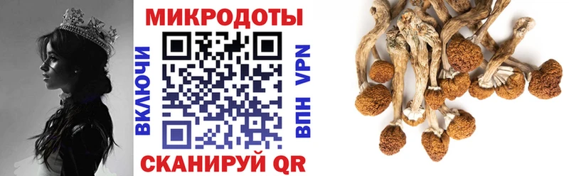 Псилоцибиновые грибы Cubensis  кракен ТОР  Елабуга  купить  цена 