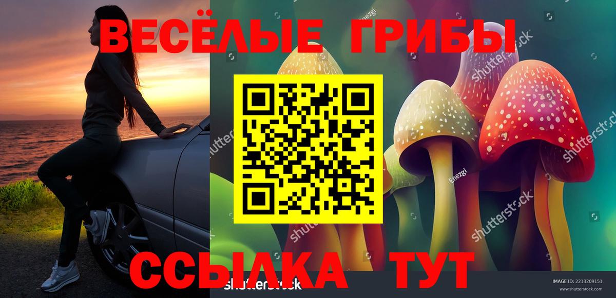 Галлюциногенные грибы Psilocybine cubensis Елабуга