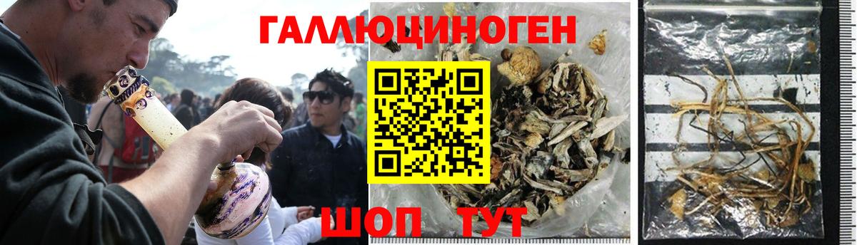 Псилоцибиновые грибы Magic Shrooms Елабуга