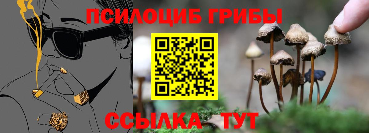 Елабуга  Псилоцибиновые грибы Magic Shrooms  Вход с VPN  Псилоцибиновые грибы мухоморы 